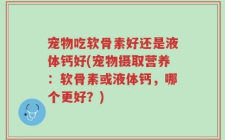 宠物吃软骨素好还是液体钙好(宠物摄取营养：软骨素或液体钙，哪个更好？)