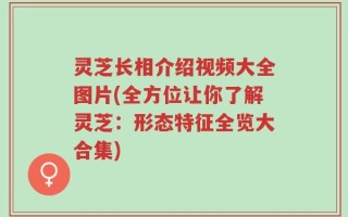 灵芝长相介绍视频大全图片(全方位让你了解灵芝：形态特征全览大合集)