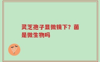 灵芝孢子显微镜下？菌是微生物吗