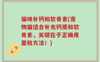 猫咪补钙和软骨素(宠物猫适合补充钙质和软骨素，关键在于正确用量和方法！)