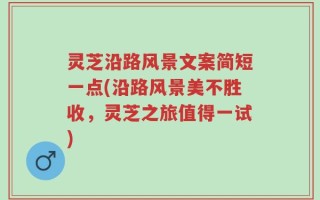 灵芝沿路风景文案简短一点(沿路风景美不胜收，灵芝之旅值得一试)