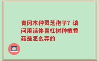 青冈木种灵芝孢子？请问用活体青杠树种植香菇是怎么弄的