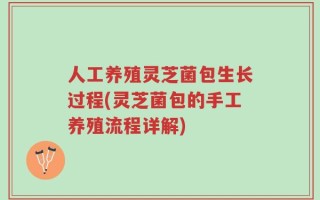 人工养殖灵芝菌包生长过程(灵芝菌包的手工养殖流程详解)