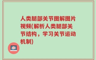 人类腿部关节图解图片视频(解析人类腿部关节结构，学习关节运动机制)