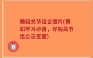 舞蹈关节组合图片(舞蹈学习必备，详解关节组合示意图)