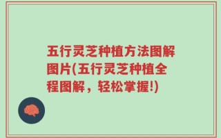 五行灵芝种植方法图解图片(五行灵芝种植全程图解，轻松掌握!)