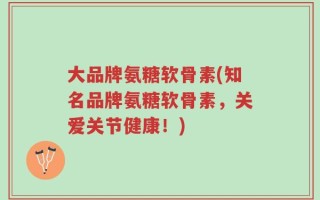 大品牌氨糖软骨素(知名品牌氨糖软骨素，关爱关节健康！)