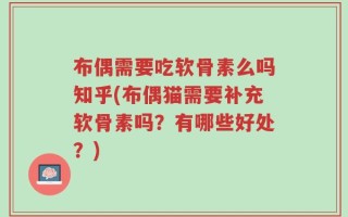 布偶需要吃软骨素么吗知乎(布偶猫需要补充软骨素吗？有哪些好处？)