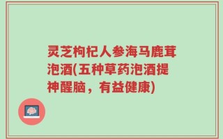 灵芝枸杞人参海马鹿茸泡酒(五种草药泡酒提神醒脑，有益健康)
