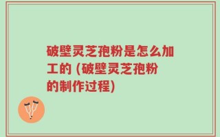 破壁灵芝孢粉是怎么加工的 (破壁灵芝孢粉的制作过程)