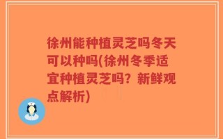 徐州能种植灵芝吗冬天可以种吗(徐州冬季适宜种植灵芝吗？新鲜观点解析)