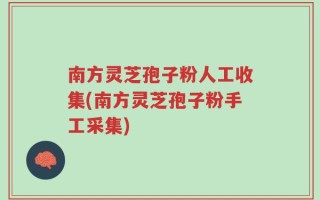 南方灵芝孢子粉人工收集(南方灵芝孢子粉手工采集)