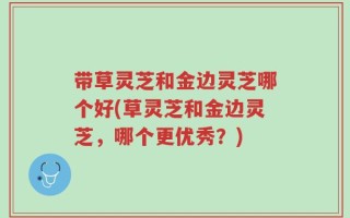 带草灵芝和金边灵芝哪个好(草灵芝和金边灵芝，哪个更优秀？)