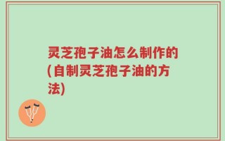 灵芝孢子油怎么制作的(自制灵芝孢子油的方法)