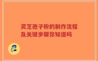 灵芝孢子粉的制作流程及关键步骤你知道吗