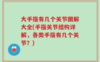 大手指有几个关节图解大全(手指关节结构详解，各类手指有几个关节？)