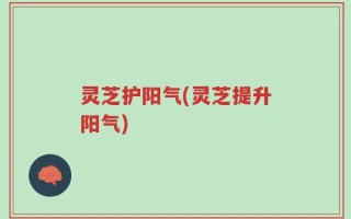 灵芝护阳气(灵芝提升阳气)