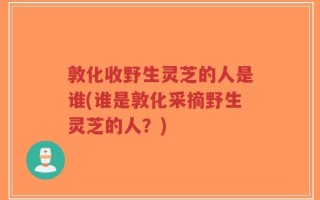 敦化收野生灵芝的人是谁(谁是敦化采摘野生灵芝的人？)