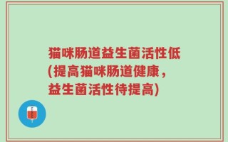 猫咪肠道益生菌活性低(提高猫咪肠道健康，益生菌活性待提高)