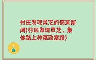 村庄发现灵芝的搞笑新闻(村民发现灵芝，集体踏上种菜致富路)