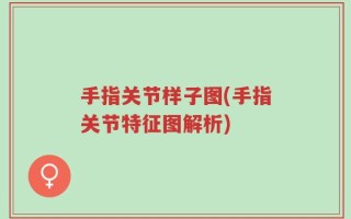 手指关节样子图(手指关节特征图解析)
