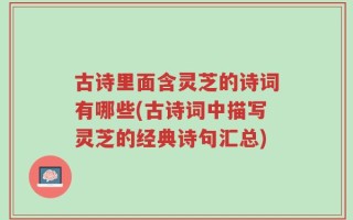古诗里面含灵芝的诗词有哪些(古诗词中描写灵芝的经典诗句汇总)