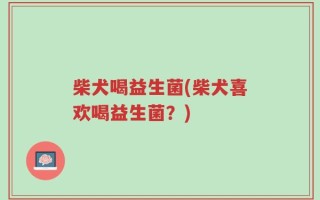 柴犬喝益生菌(柴犬喜欢喝益生菌？)