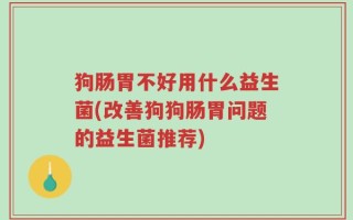 狗肠胃不好用什么益生菌(改善狗狗肠胃问题的益生菌推荐)