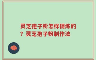 灵芝孢子粉怎样提炼的？灵芝孢子粉制作法