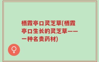 栖霞亭口灵芝草(栖霞亭口生长的灵芝草——一种名贵药材)
