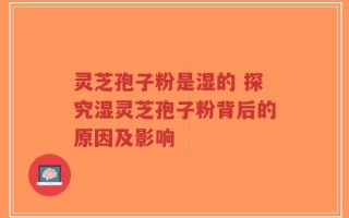 灵芝孢子粉是湿的 探究湿灵芝孢子粉背后的原因及影响
