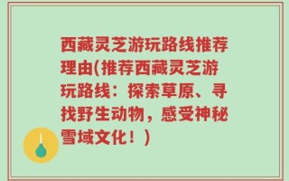 西藏灵芝游玩路线推荐理由(推荐西藏灵芝游玩路线：探索草原、寻找野生动物，感受神秘雪域文化！)