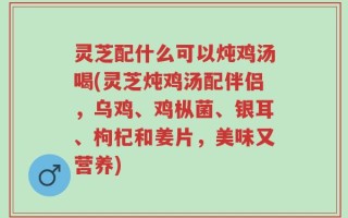 灵芝配什么可以炖鸡汤喝(灵芝炖鸡汤配伴侣，乌鸡、鸡枞菌、银耳、枸杞和姜片，美味又营养)