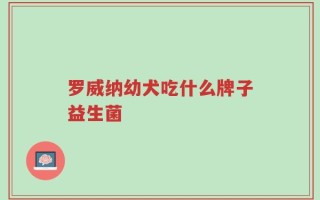 罗威纳幼犬吃什么牌子益生菌