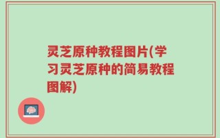 灵芝原种教程图片(学习灵芝原种的简易教程图解)