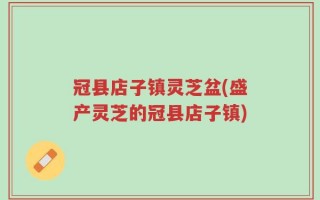 冠县店子镇灵芝盆(盛产灵芝的冠县店子镇)