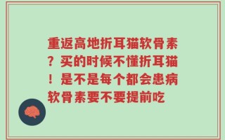 重返高地折耳猫软骨素？买的时候不懂折耳猫！是不是每个都会患病软骨素要不要提前吃