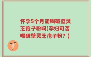 怀孕5个月能喝破壁灵芝孢子粉吗(孕妇可否喝破壁灵芝孢子粉？)