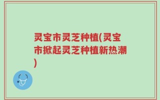 灵宝市灵芝种植(灵宝市掀起灵芝种植新热潮)