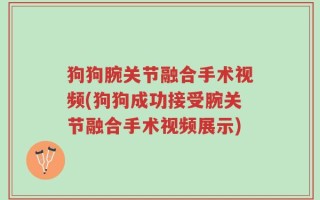 狗狗腕关节融合手术视频(狗狗成功接受腕关节融合手术视频展示)