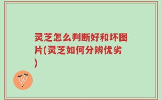 灵芝怎么判断好和坏图片(灵芝如何分辨优劣)