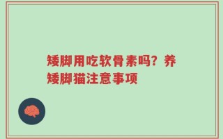 矮脚用吃软骨素吗？养矮脚猫注意事项