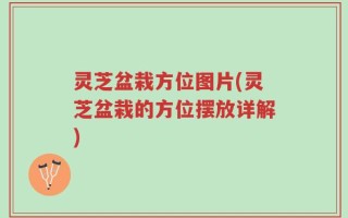 灵芝盆栽方位图片(灵芝盆栽的方位摆放详解)
