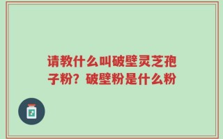请教什么叫破壁灵芝孢子粉？破壁粉是什么粉