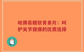 哈佛氨糖软骨素片：呵护关节健康的优质选择