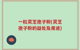 一粒灵芝孢子粉(灵芝孢子粉的益处及用途)