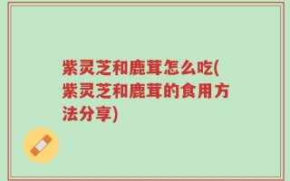 紫灵芝和鹿茸怎么吃(紫灵芝和鹿茸的食用方法分享)