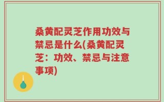 桑黄配灵芝作用功效与禁忌是什么(桑黄配灵芝：功效、禁忌与注意事项)
