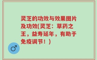 灵芝的功效与效果图片及功效(灵芝：草药之王，益寿延年，有助于免疫调节！)