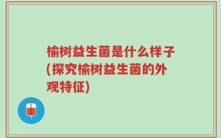 榆树益生菌是什么样子(探究榆树益生菌的外观特征)